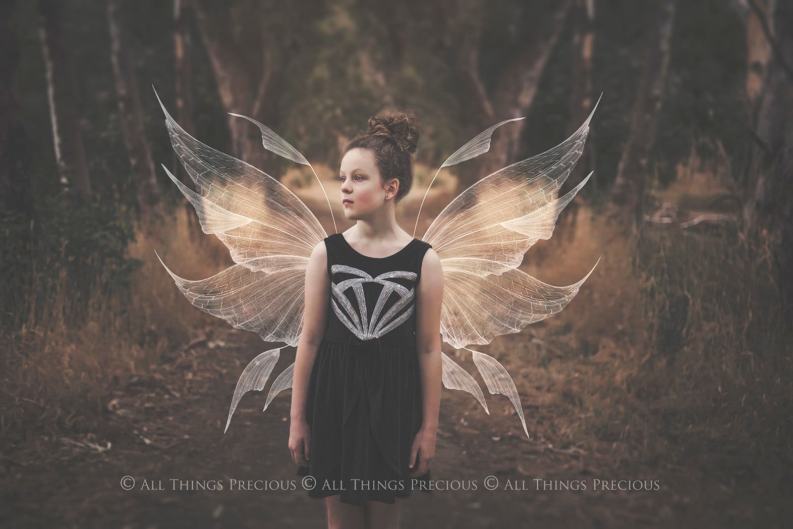 Digital Faery Wing Overlays. Png overlays for photoshop. Photography editing. High resolution, 300dpi fairy wings. Overlays for photography. Digital stock and resources. Graphic design. Fairy Photos. Colourful Fairy wings. Faerie Wings. ATP Textures. Overlays. Actions, Textures, Photo Resources, Photoshop.